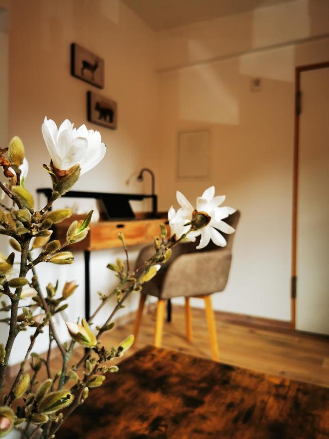 Ferienwohnung Haselnuss Ilsenburg  Exterior foto